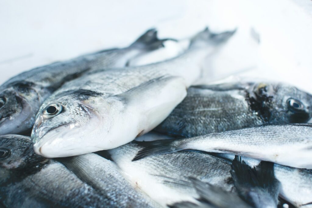 peixes-preparados-para-serem-limpos-e-cozinhados