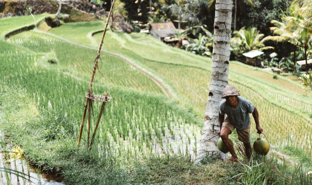 o-cara-fazendo-farmer-carry-na-vida-real